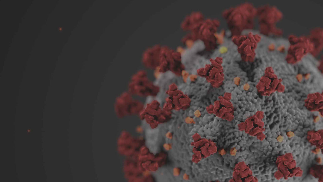 Coronavirus Update, March 16, 2020