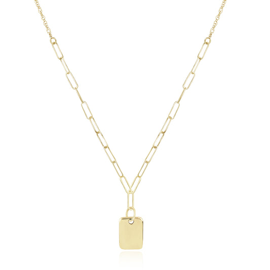 Dog Tag Pendant w/Paperclip Chain