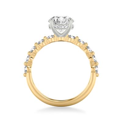 Hidden Halo Engagement Ring