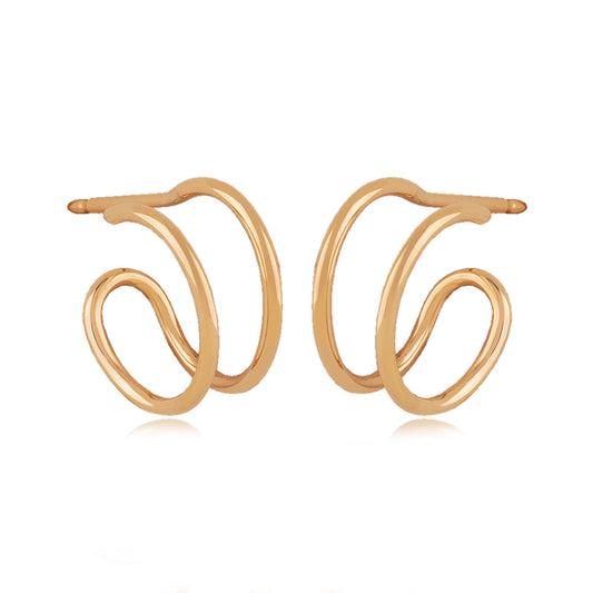 Double Hoop Earrings