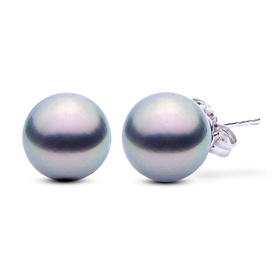 Tahitian Pearl Earrings