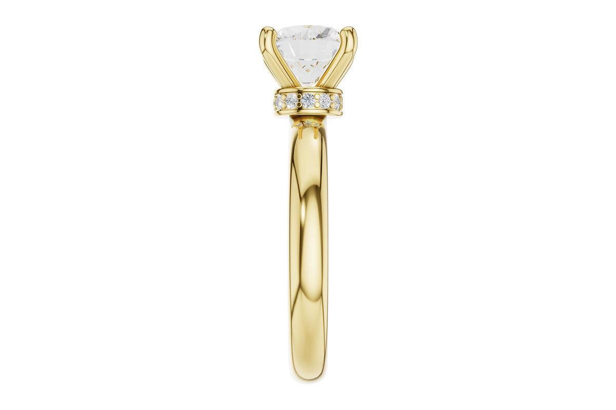 Engagement Ring Mounting