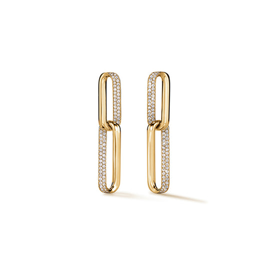 Inside/Out Link Drop Earrings