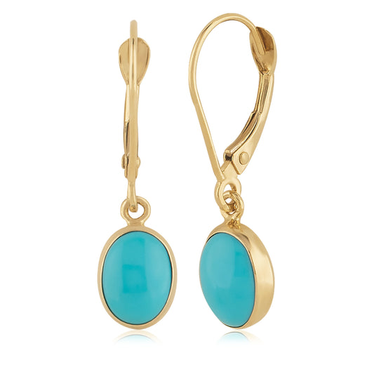 Simple Turquoise Drop Earrings