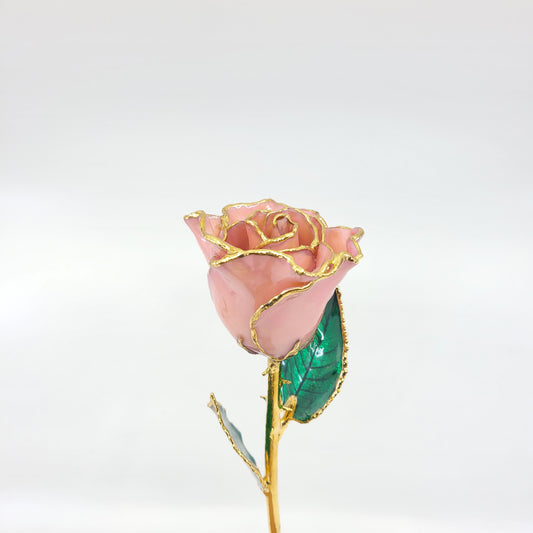 Gold Dipped Rose
